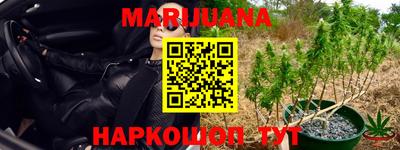кокс Донской