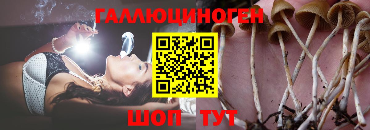 Галлюциногенные грибы мицелий  Вход с VPN  Псилоцибиновые грибы Psilocybine cubensis  Майкоп 